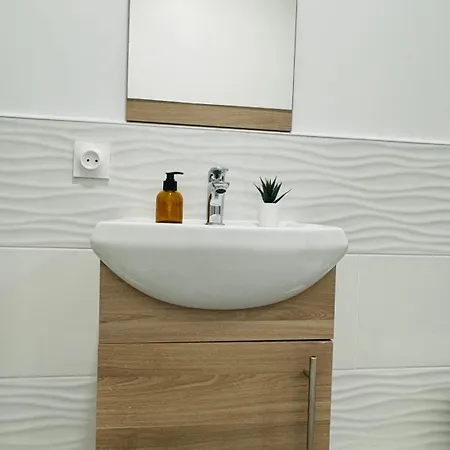 Nid Cozy - Zone Historique De Ferrand Daire *